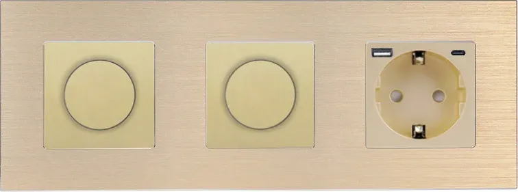 Роторний димер WALLPAD 2 клавіші (1-1) з розеткою з USB A+C 20Вт, 16A 230V, заземлення, золото алюміній