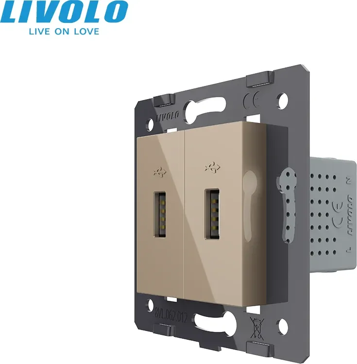 Подвійна розетка USB LIVOLO з блоком живлення, золота скляна рамка, настінна, дизайнерська